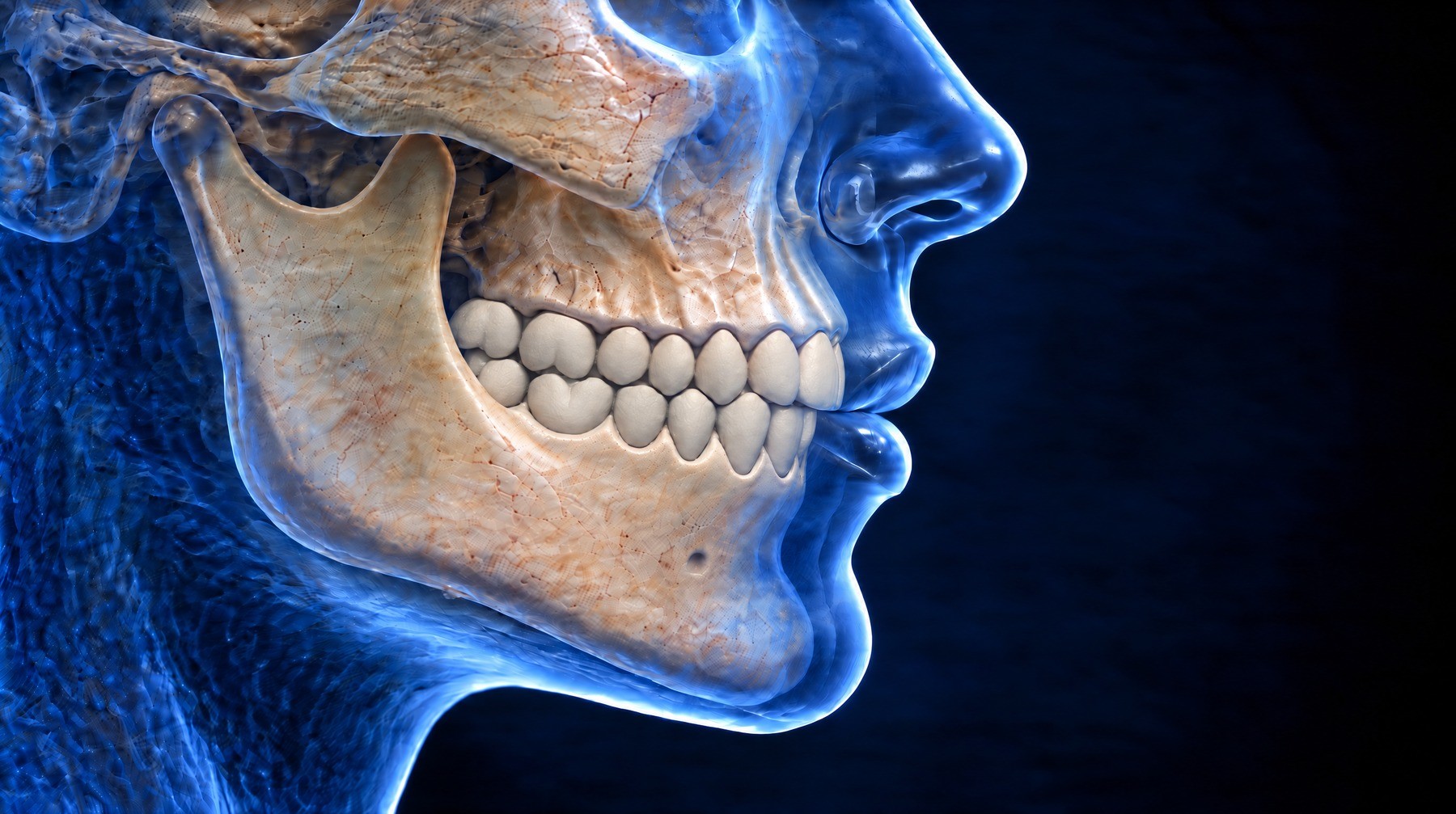 Facial profile